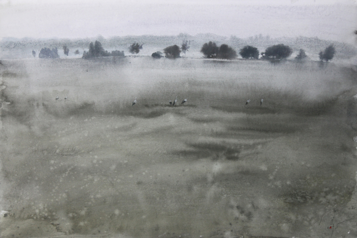 Белые аисты