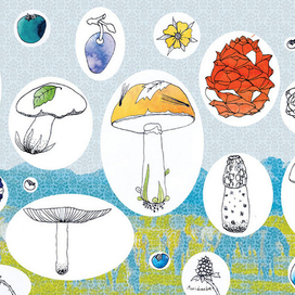 Богатства леса