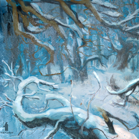 Enchanted Forest - for Skylord