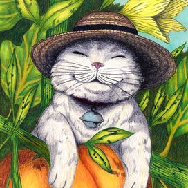 Усатый фермер с тыквой