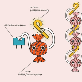 Иллюстрация на ассоциациях