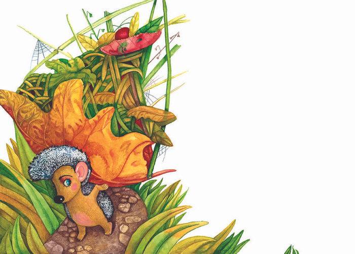 "Приключения ёжика Ушастика"