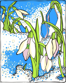 подснежники