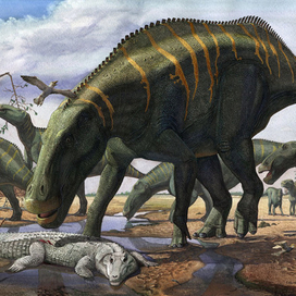 Тяжелые времена