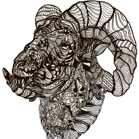 баранчик расскраска