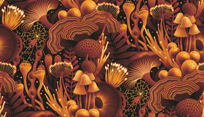 Котики и грибы