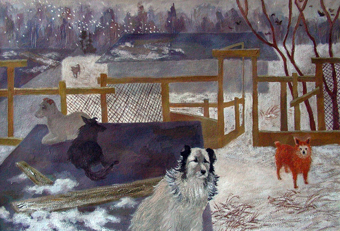 Жизнь в приюте