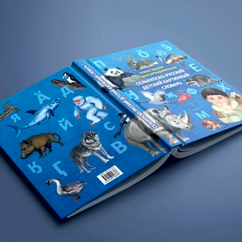 Иллюстрированный словарь