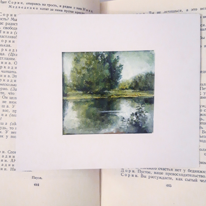 Пейзаж в книге