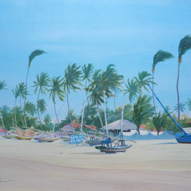 Жангады Тоуруса 