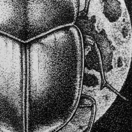 Lunae Scarabeaus (part)
