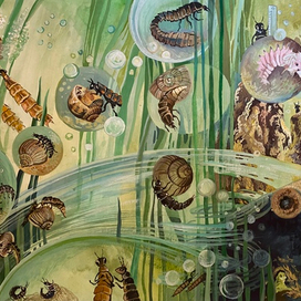 Букашки ночные 