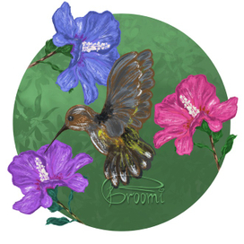 Колибри и цветы