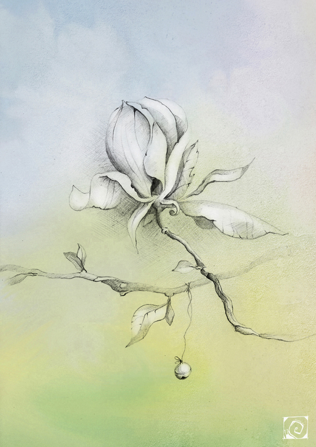 Цвет магнолии