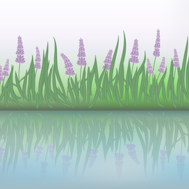 Туманный луг