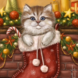 Рождественский котенок