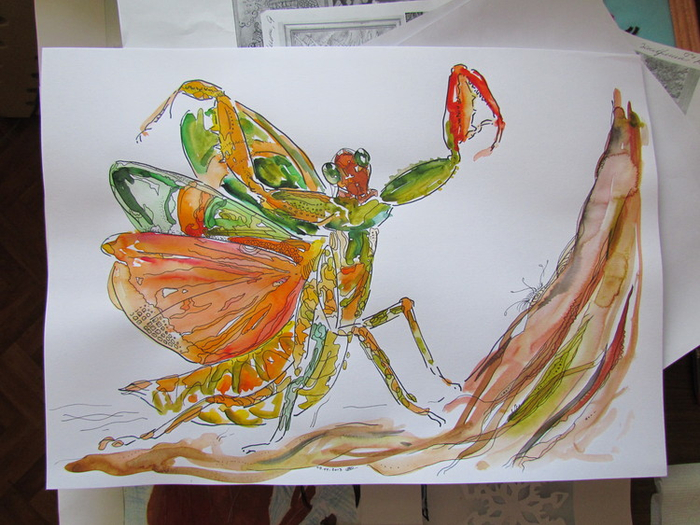 Богомол. Танец радости :-)