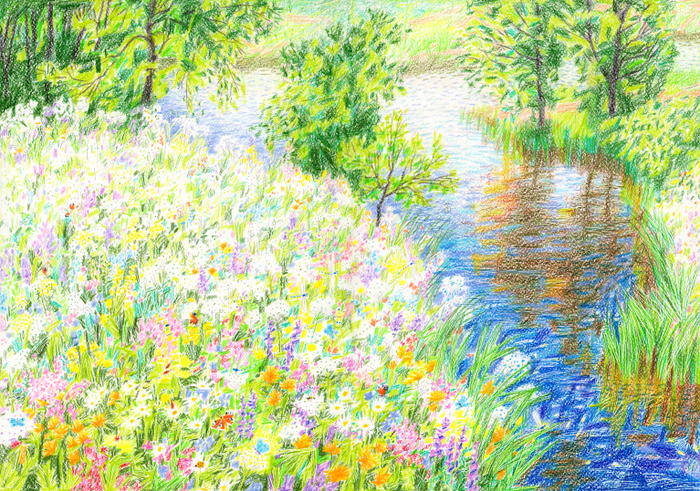 Разнотравье. "Красная Шапочка"