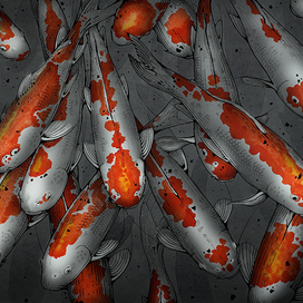 Koi (вариант)