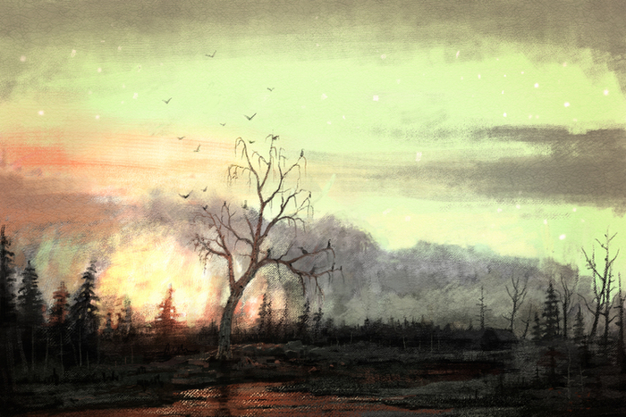 В темном лесе