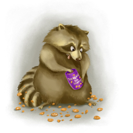 Енот на завтраке