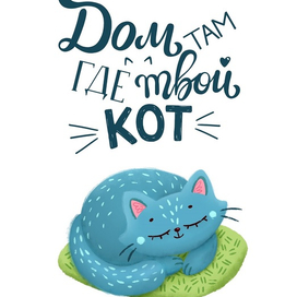 Дом там, где твой кот