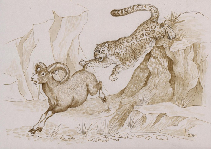 Похоже, промахнулся)))