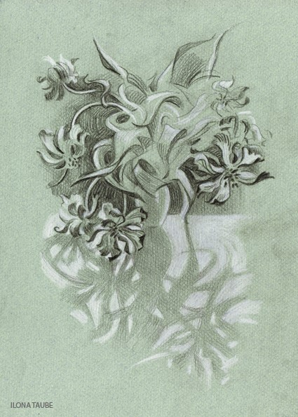 Тень отражения 1