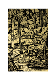 Робинзон Крузо