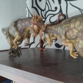пахицефалозавры  (Pachycephalosaurus wyomingensis)