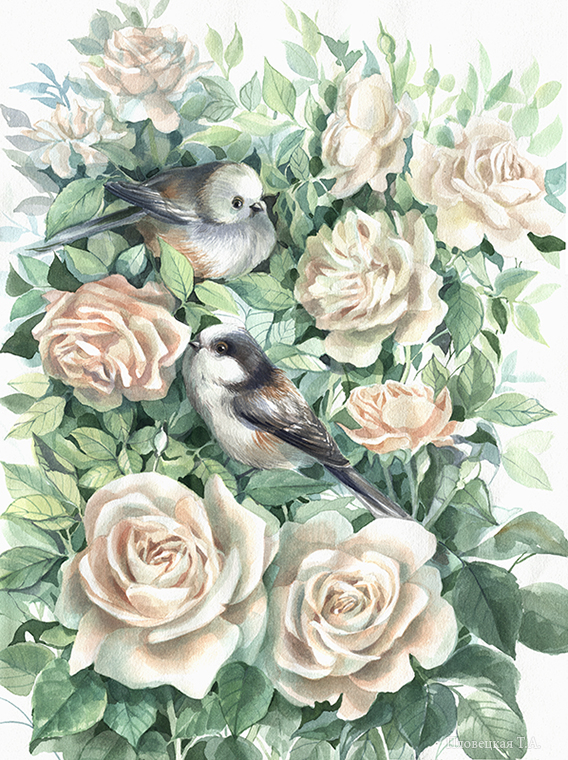 Синицы в кремовых розах