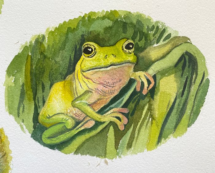 Лягушонок 