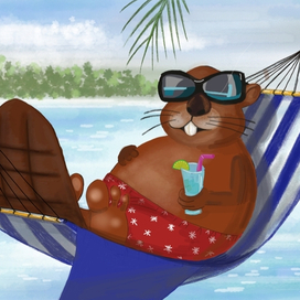 Бобер на мальдивах