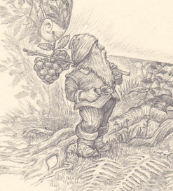 Фрагмент иллюстрации. Гном