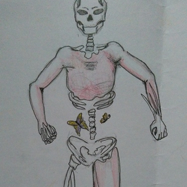 скелет с бабочками в животе