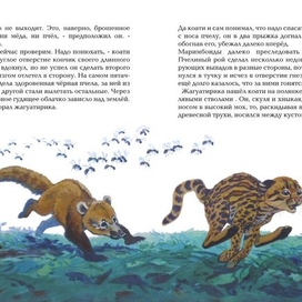 Коати и Жагуатирика 10