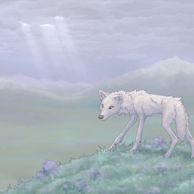 вересковый волк