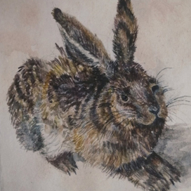 натюрморт академический рисунок