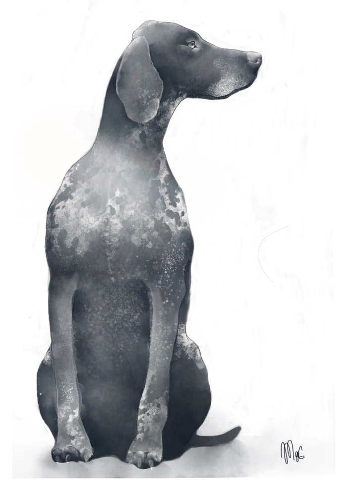 Без названия 