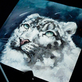 Снежный барс