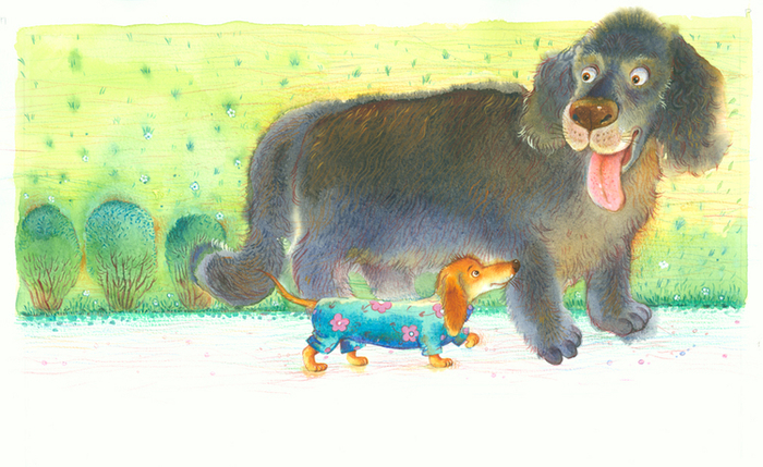 Щенячья азбука6