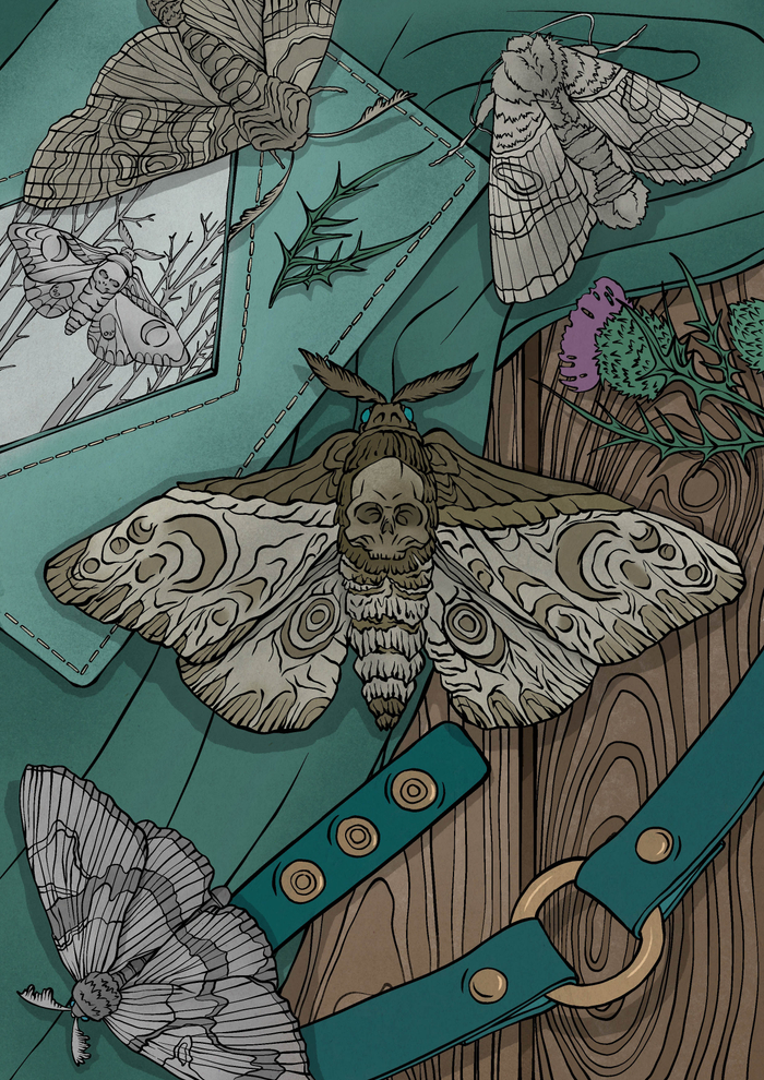 Мотылёк "мёртвая голова"