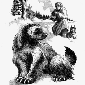 Возвращение росомахи. Илл.3