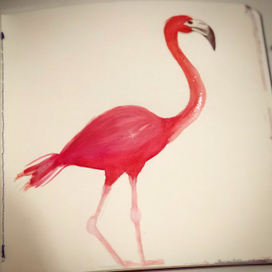 Фламинго 