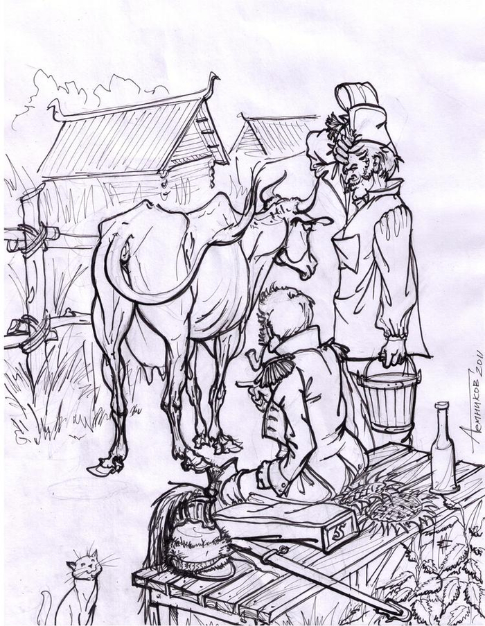 Где у коровы берут молоко?