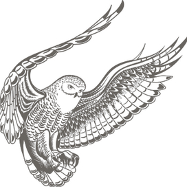 Пикирующий филин