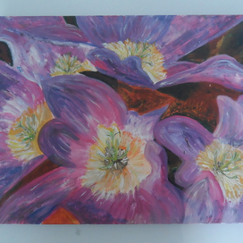 Познецветы