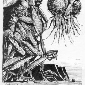 Субуколуза