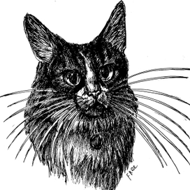 Мурлочки-Жирлочки