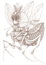 Муравьиный лев